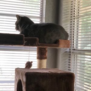 Meet your Posher, Marta